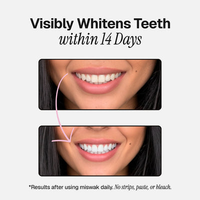 Miswak | Nature’s Original Toothbrush